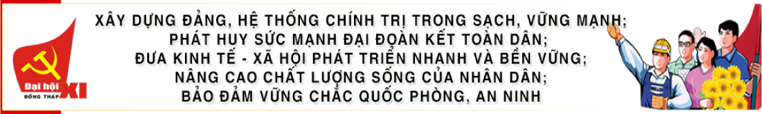 dai hoi dang dong thap